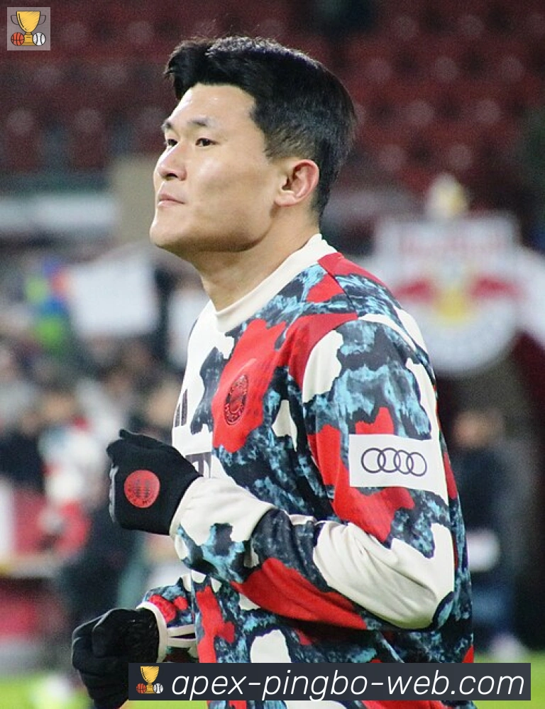 维尼修斯